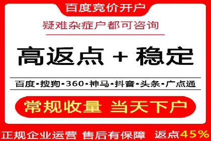 百度推广在电商行业的应用案例分析